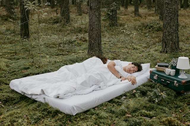 The Art of Journeying into Dreamland: Exploring the World of Mattresses